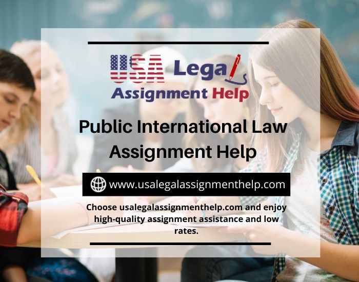 Public International Law Assignment Help Legal Body And Manages Governing Society